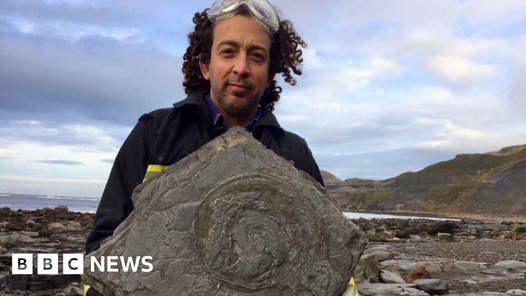 'Rock Showman' uncovers sandstone stegosaur near Whitby