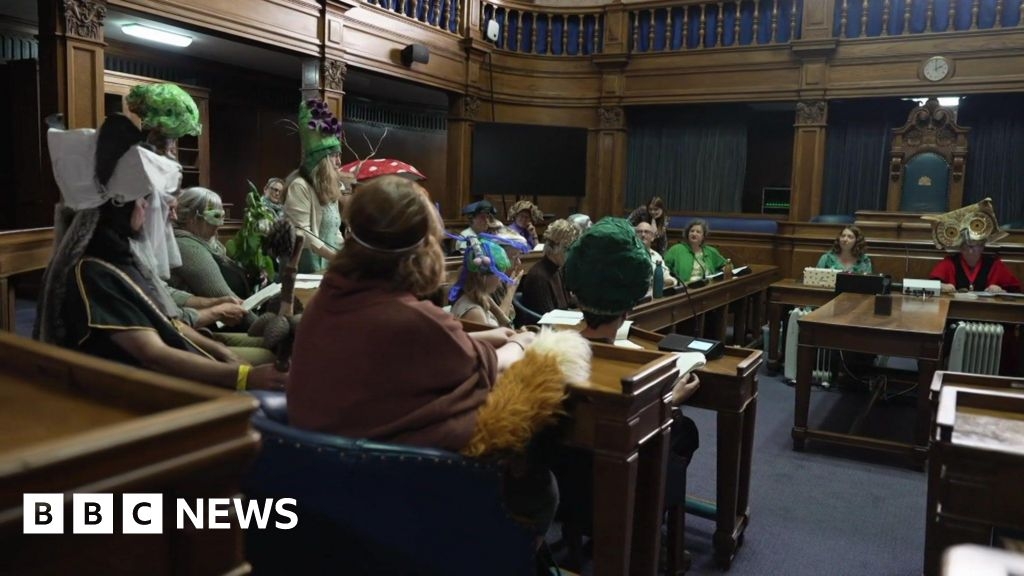 Nature campaigners take over Southampton City Council meeting