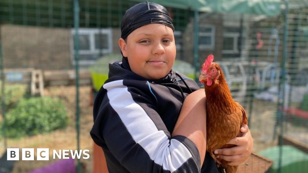 'If I'm frustrated by my Bedfordshire school, farm calms me down'