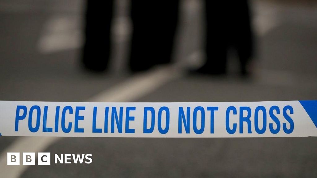 Three men arrested and two injured in Sutton Bridge fight