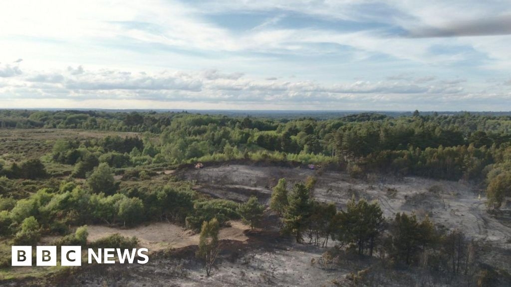Wildfire warning issued after blaze on Eversley Common