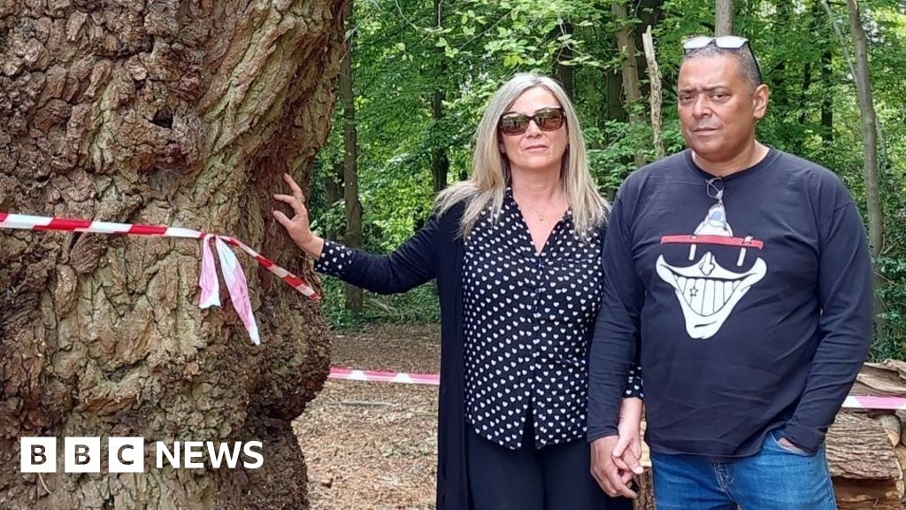 Anger and upset at scene of Enfield Toby Carvery tree felling