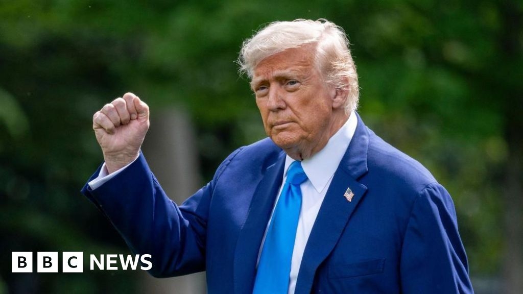 Trump travel ban barring citizens from 12 countries takes effect