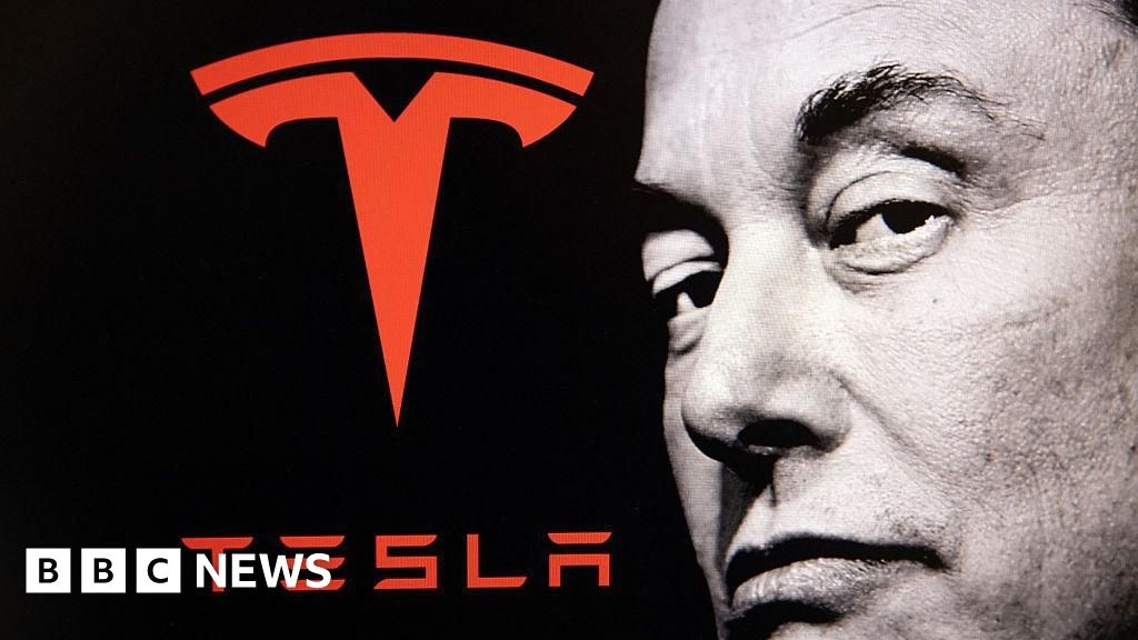 Elon Musk's Tesla is 'not interested' in producing cars in India