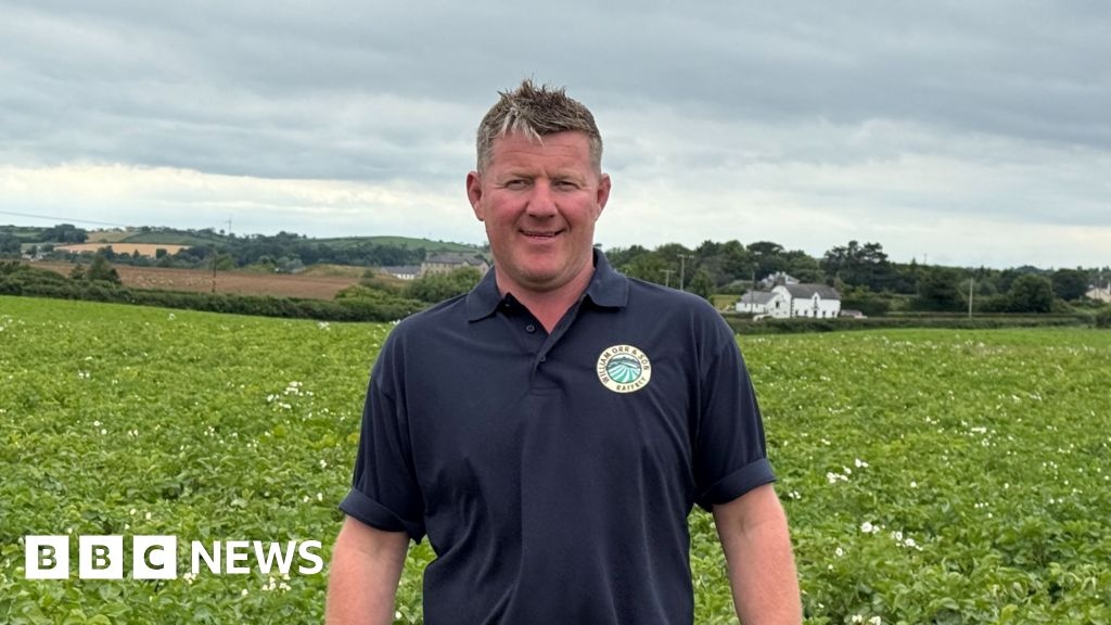 Comber: Festival celebrates 'early' harvest of earlies potato
