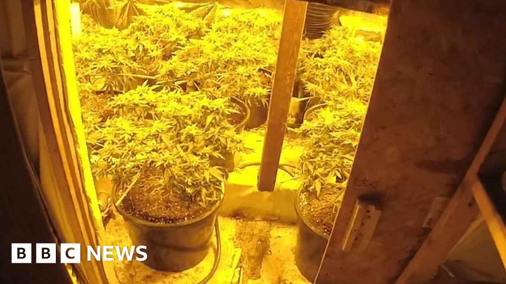 Officers called to burglary in Nottingham find drugs factory