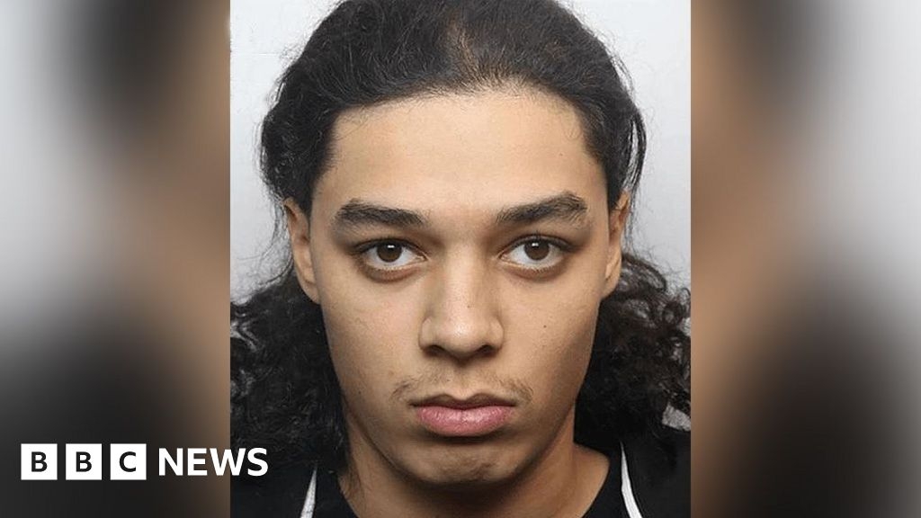 Harvey Bell: Teenager who deliberately drove car at PC detained