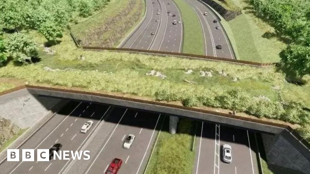 FlyUp 417 Bike Park park reopening after 'stressful' A417 works