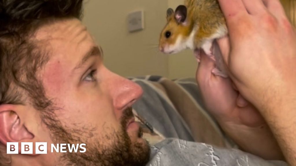 'Popcorn the hamster led me to meet the love of my life'