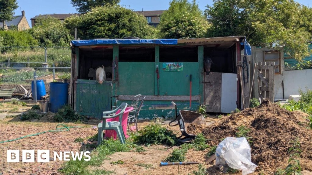 Ryton allotment tenants in horses row