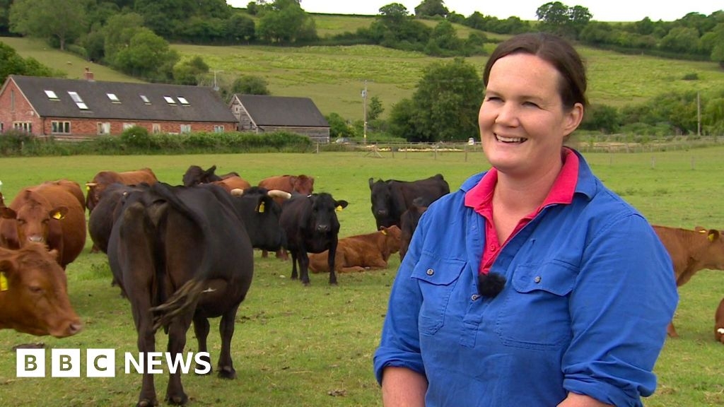 'The grass to feed my cows just hasn't grown'