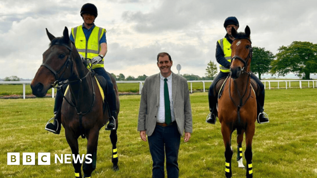Newbury MP calls for better road safety for horses
