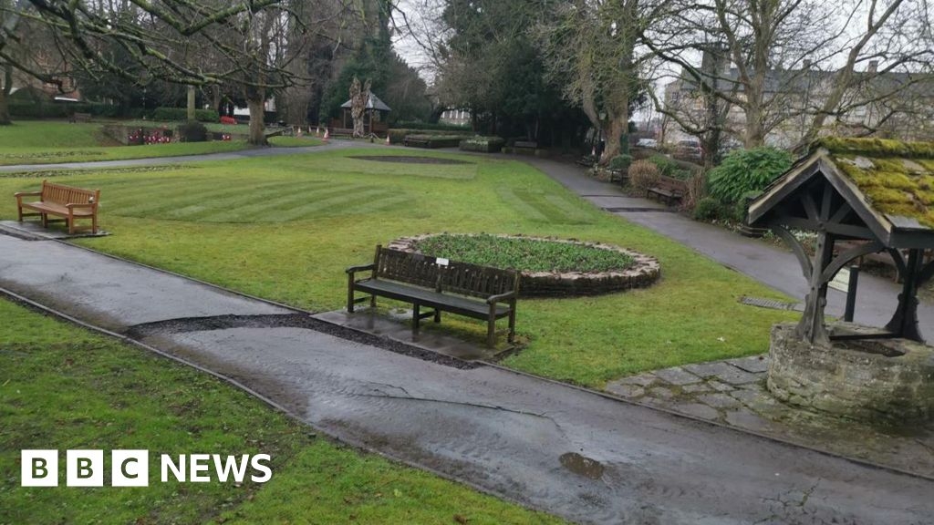 North Yorkshire Council criticised after clearing trees and plants