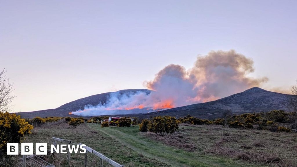 Mourne Mountains: 146 gorse fires dealt with in three days