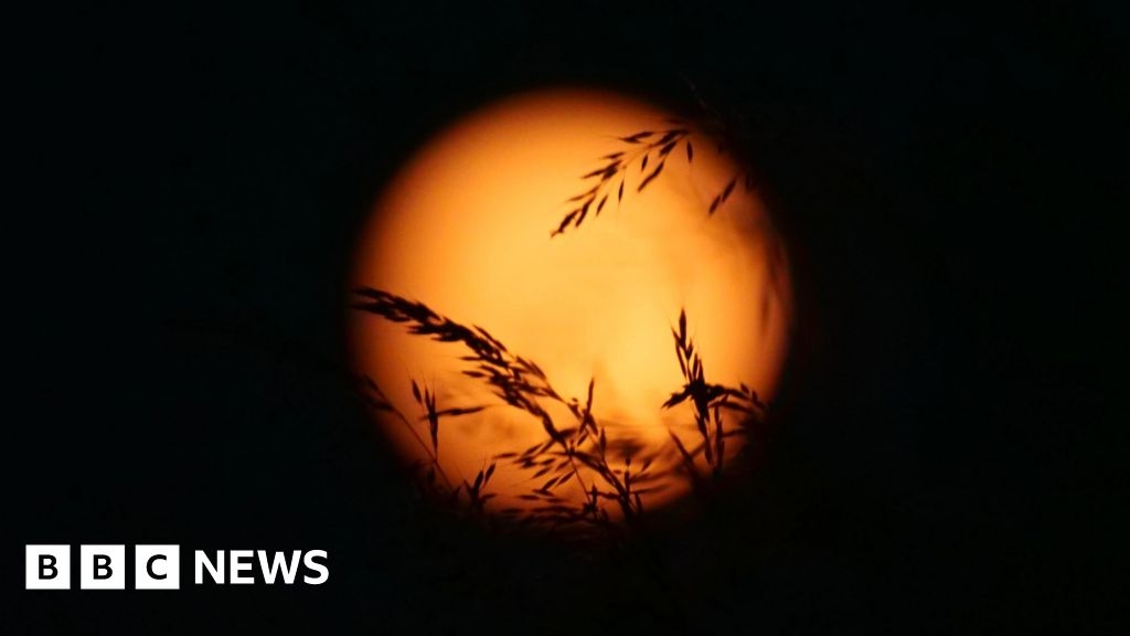 Wild swimmers in the South West prepare for Strawberry Moon dip