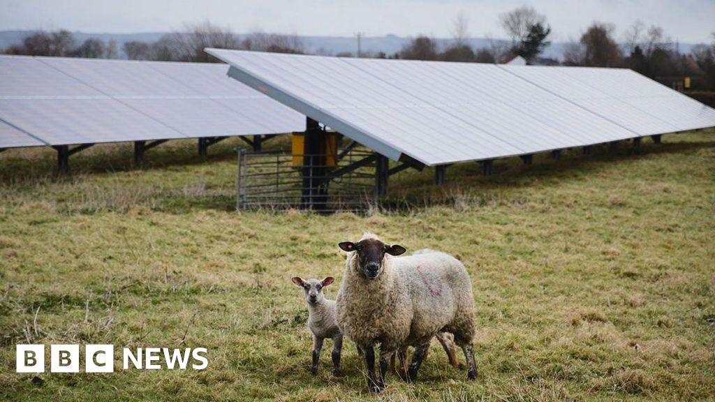Two new Wiltshire solar farms 'could power 29,000 homes'
