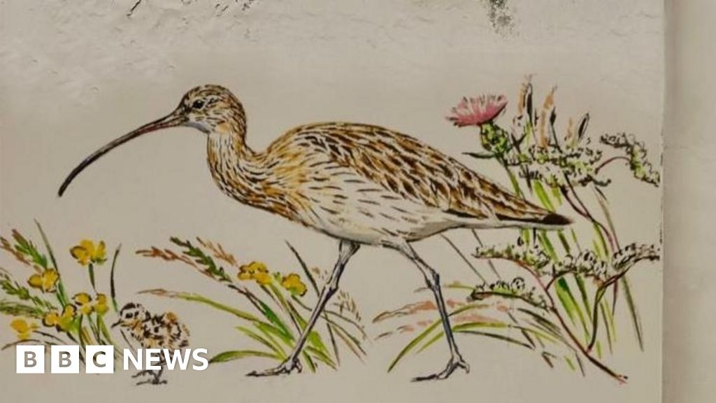 Stroud Conservation charity hosts event to mark World Curlew Day