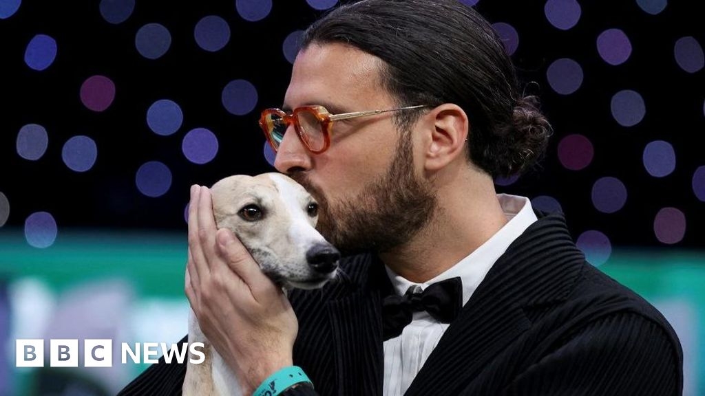 Crufts 2025: Whippet from Italy called Miuccia wins best in show