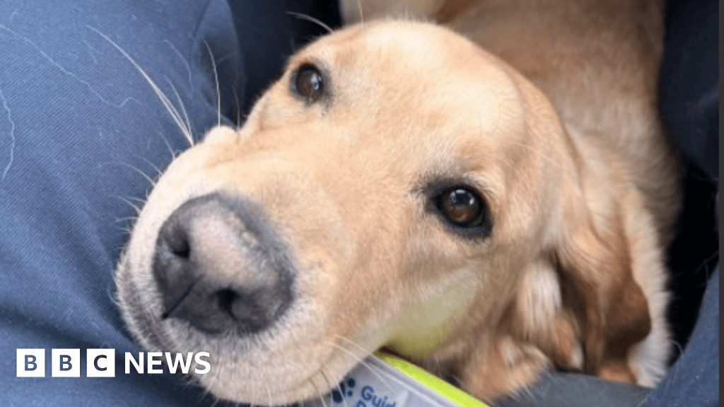 Hull guide dog user warns taxi drivers to follow law