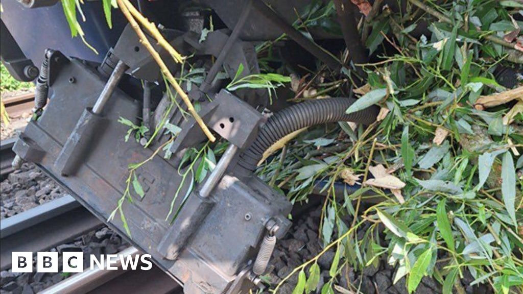 Southeastern train stuck after hitting tree near Ashford