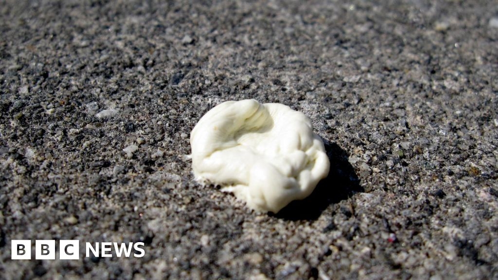North Yorkshire Council seeking cash for chewing gum clean equipment