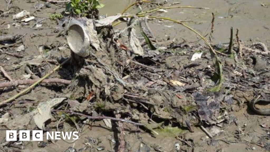 Plastic wet wipe ban by government is urgent