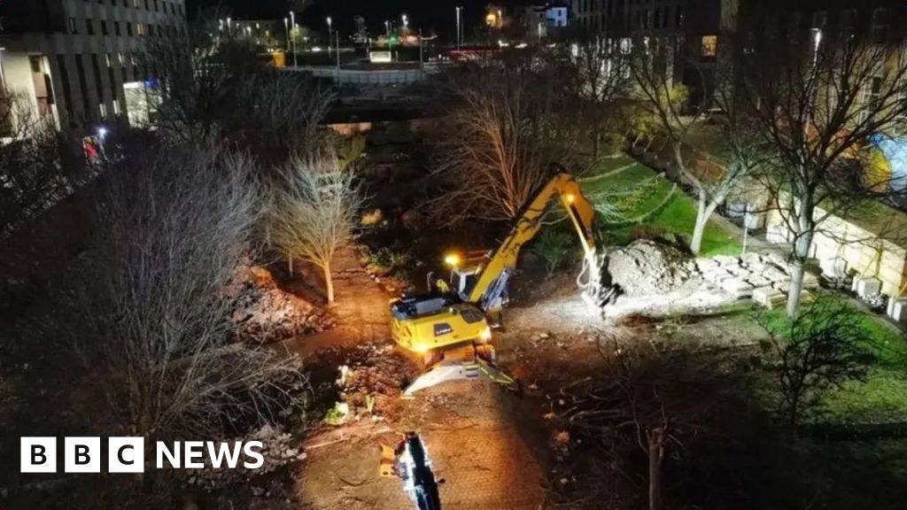 Plymouth tree felling fiasco cost more than £3.3m