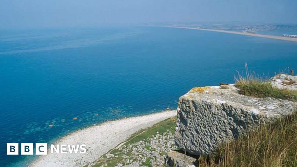 Bottom trawling: Lyme Bay 'still recovering'