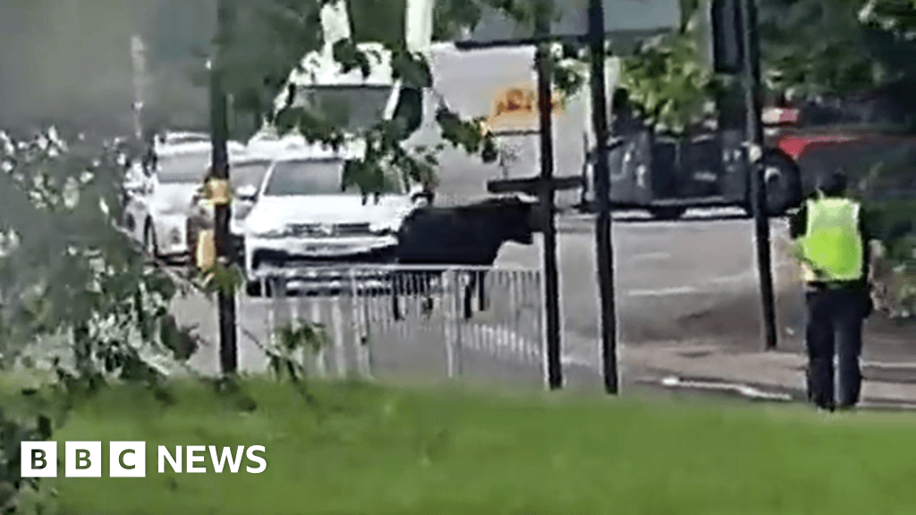 Bull spotted loose on streets of Birmingham