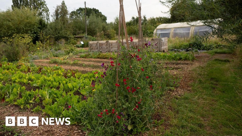 Brownfield site to be turned into nature reserve