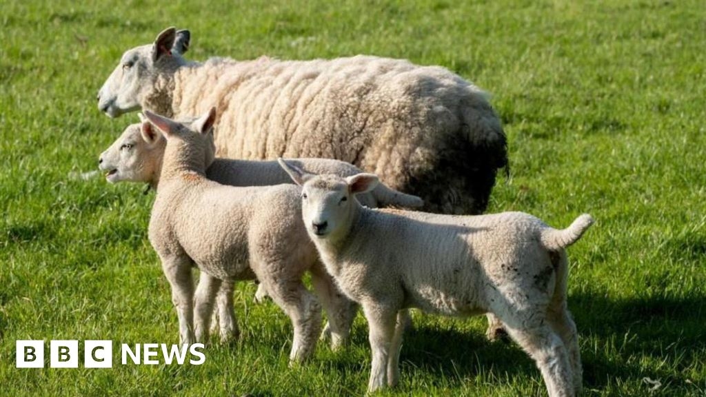 'Worcestershire's traditional rural skills at risk of dying out'
