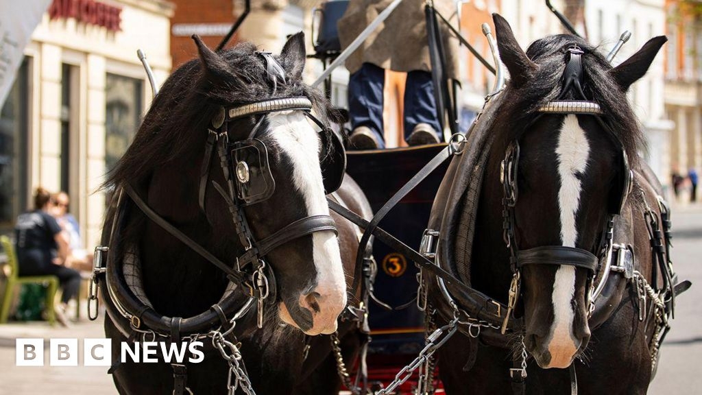 Wadworth shire horses not returning to Devizes