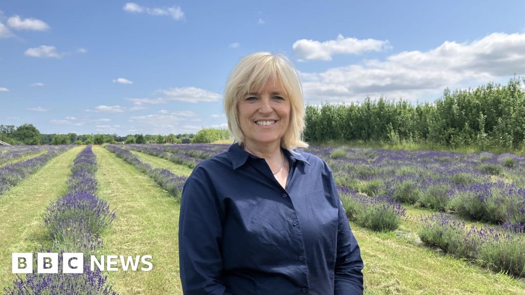 Surrey lavender farm finds weeding 'quite difficult' since Brexit