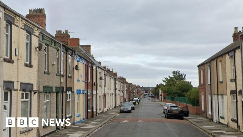 Hartlepool dog attack: Four hurt by escaped German Shepherds
