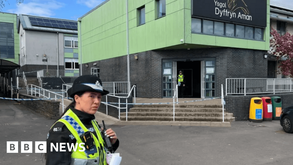 Ammanford stabbing: Police can check school bags, minister says