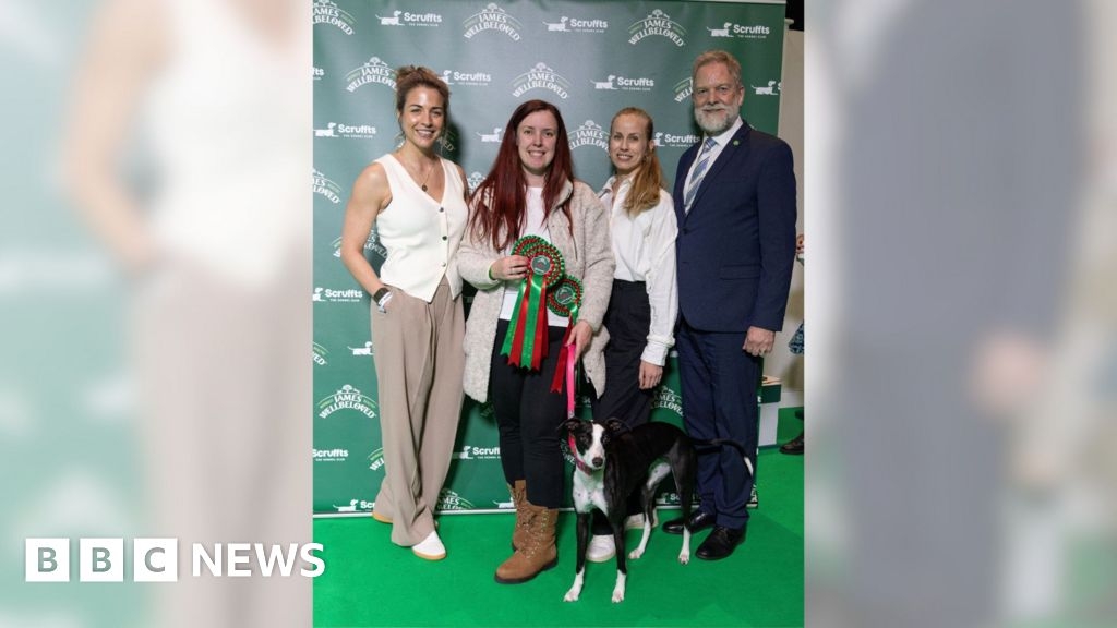Dog who gave Oxfordshire mum 'new lease of life' wins at Crufts