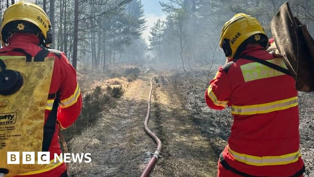 Moors Valley Country Park to remain closed after wildfires