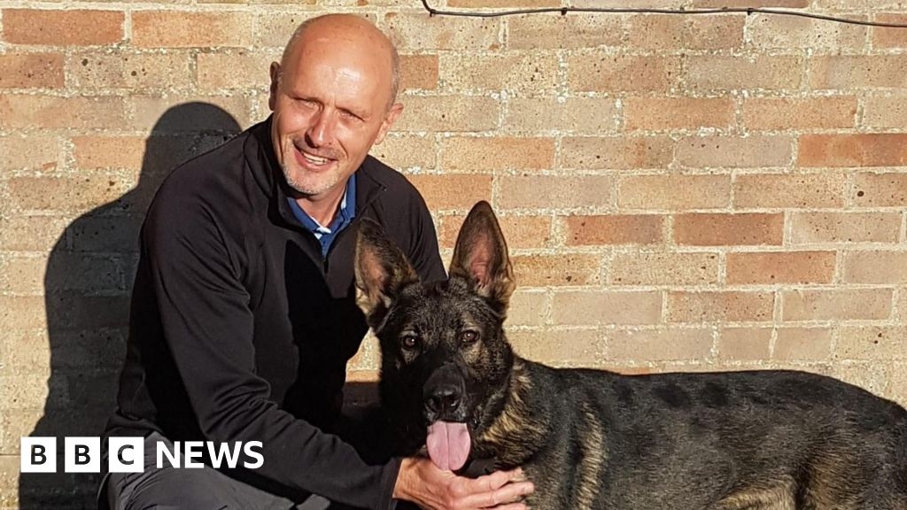 Wiltshire Police dog handler recognised for 50 years of service