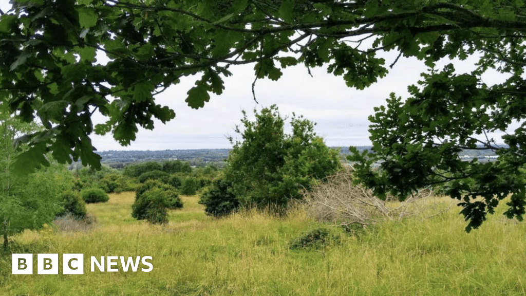 New homes at beauty spot included in West Berkshire Council plan