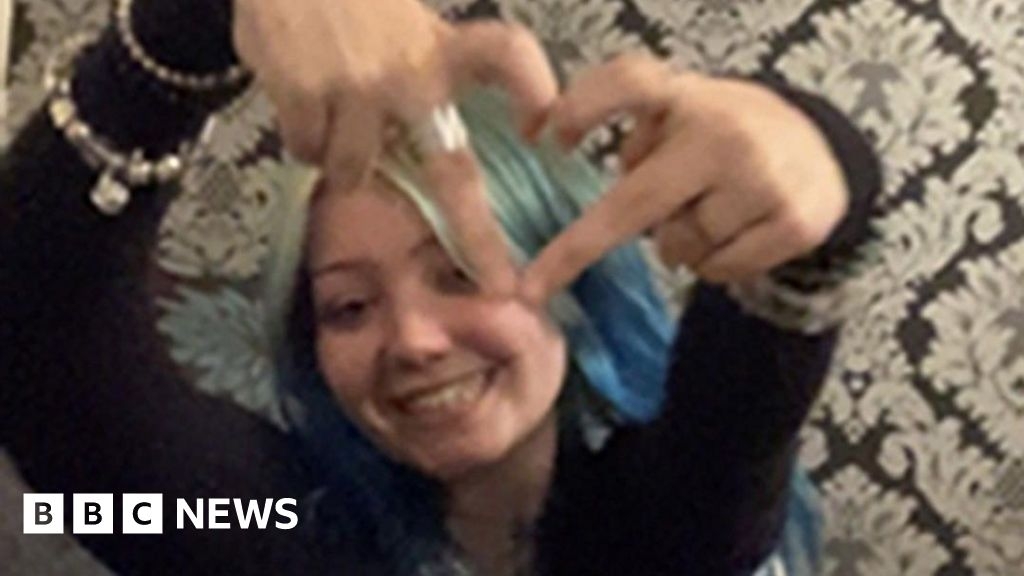 Teenager killed in Bristol XL bully attack 'died from neck bites'