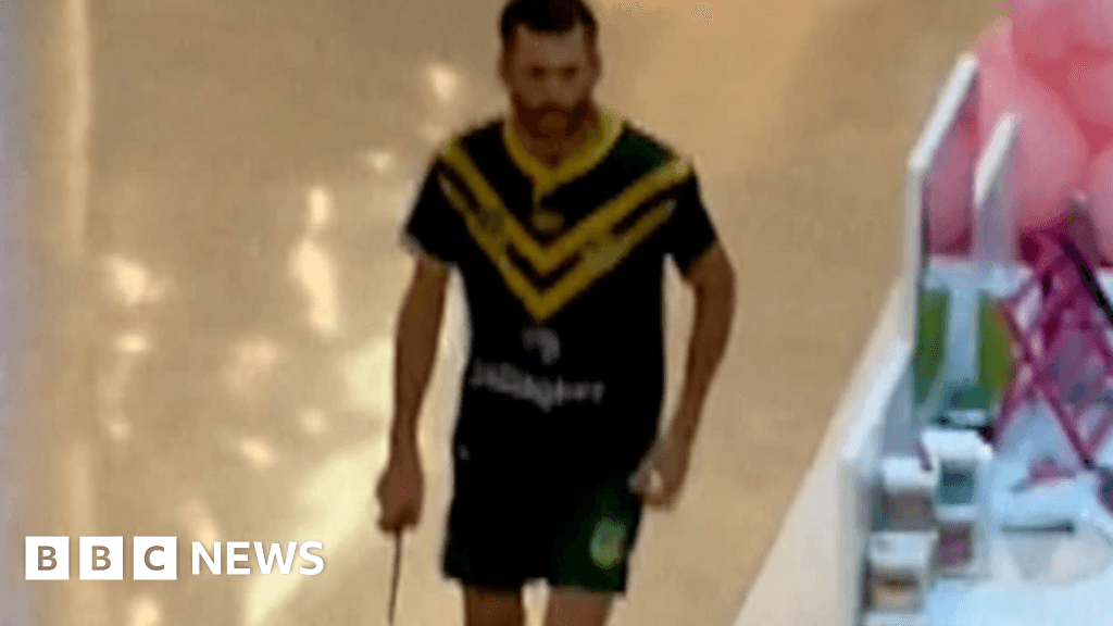 Bondi stabbing: How killer Joel Cauchi slipped through the cracks