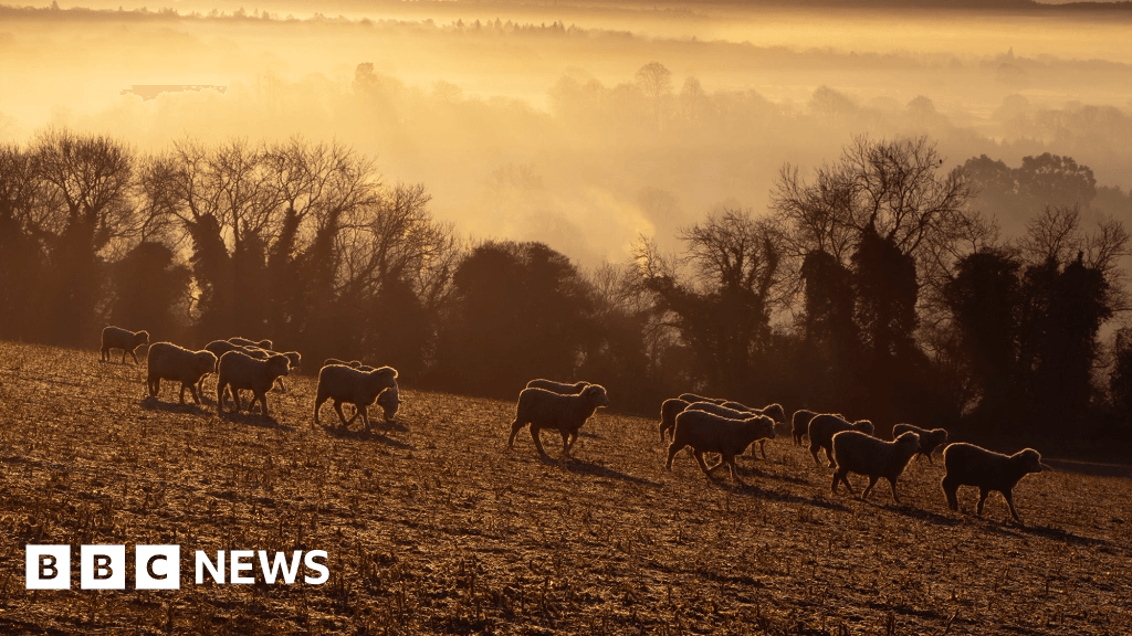 Surrey farmers able to bid for funding to aid growth