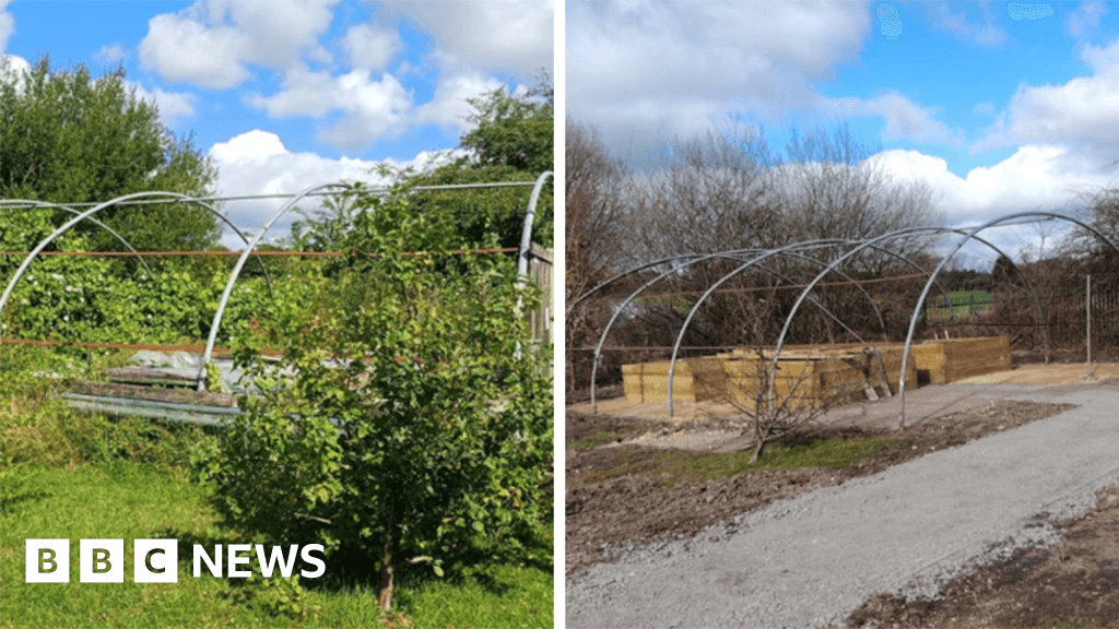 Disused Walsall community polytunnel given makeover