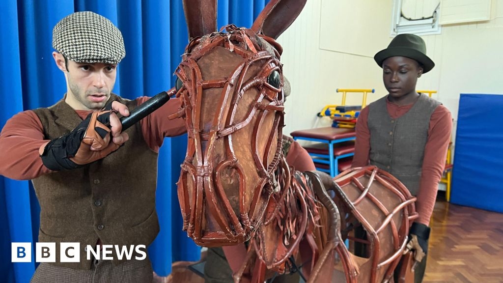 War Horse actor's school visit makes 'core memory' for pupils