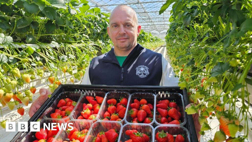 Sussex warm weather means strawberries will be ready for Easter