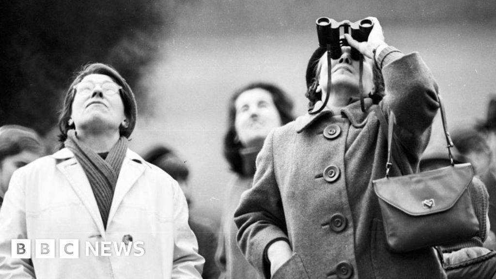 On a wing and a glare: When an escaped eagle entranced London