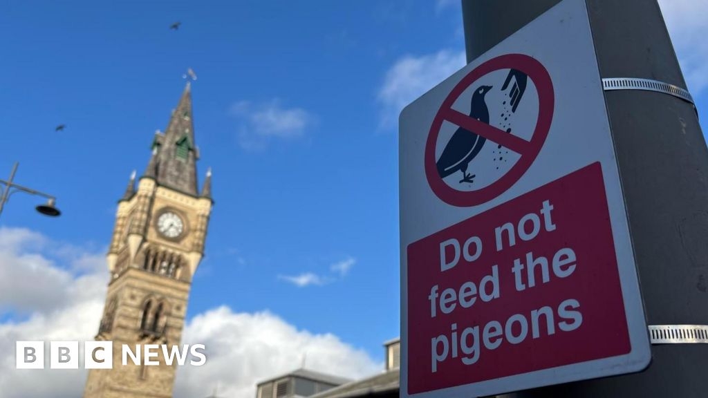 Signs ahead of Darlington pigeon feeding ban