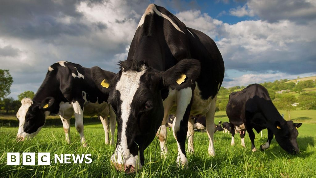 NI agriculture: Farm incomes have increased by almost two-thirds