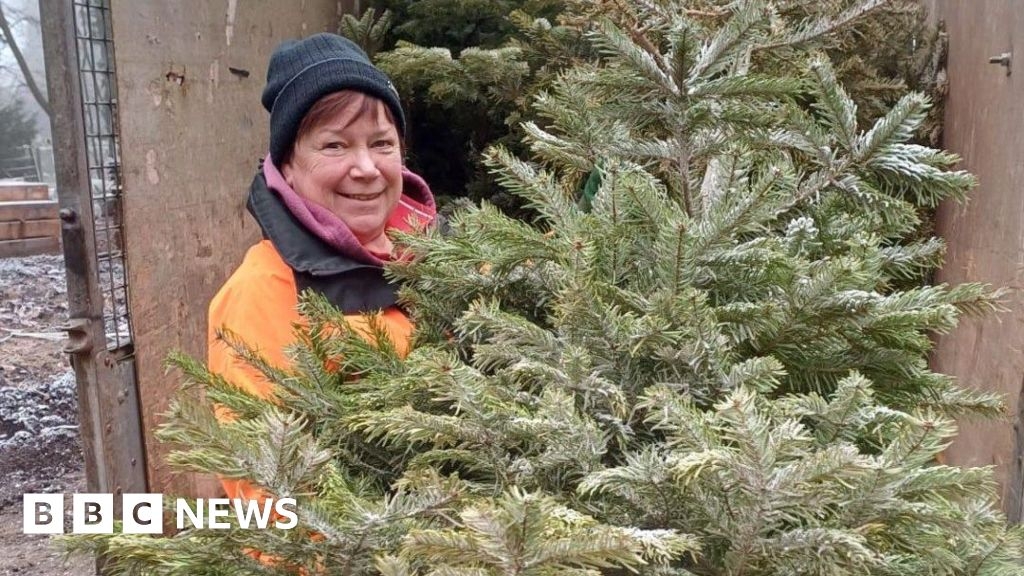 Thousands raised in Worcester cancer charity tree collection