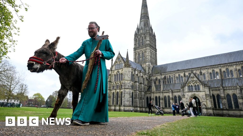 Wiltshire in pictures: Magical murals, tiny foxes and a donkey